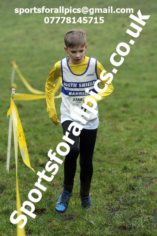 Boys under-13s, NECAA Junior Cross Country Relays, Thornley Farm, Peterlee, Saturday, December 12th. Photo: David T. Hewitson/Sports for All Pics